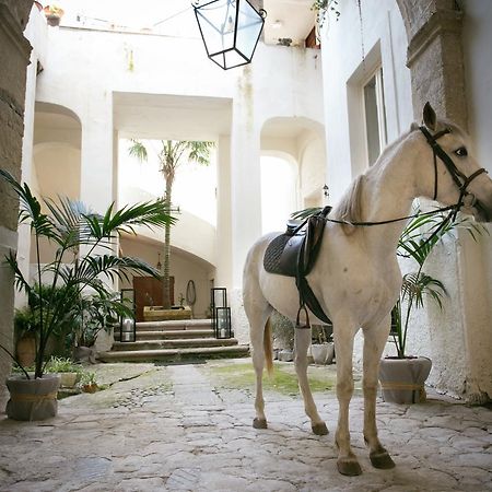 Il Marchese Del Grillo Apartman Tropea Kültér fotó
